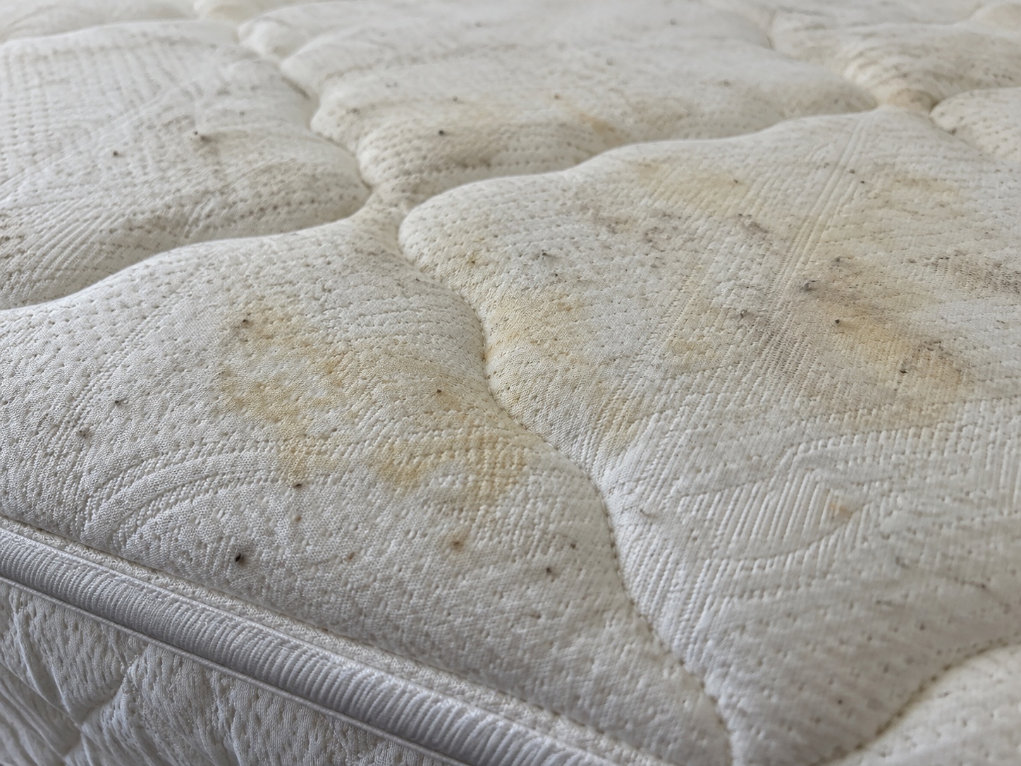 Mattress cleaning — before